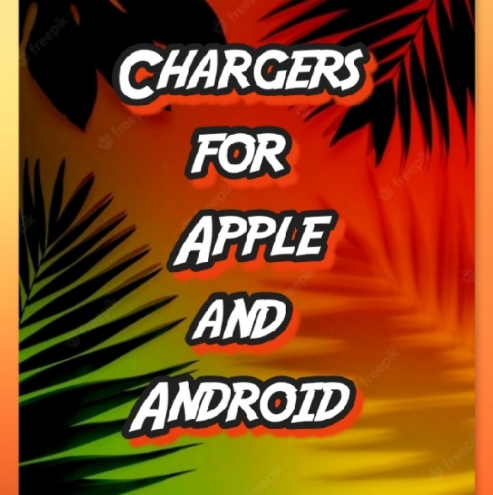 Electronic Chargers